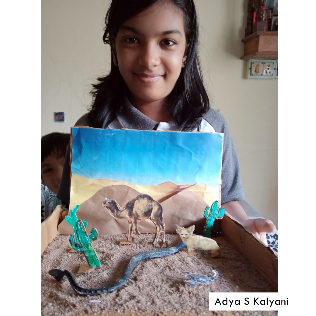 DESERT HABITAT - EVS ACTIVITY | The Yenepoya School, Mangalore